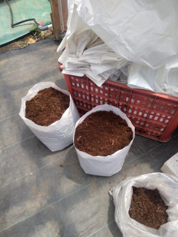 Cocopeat - Image 2