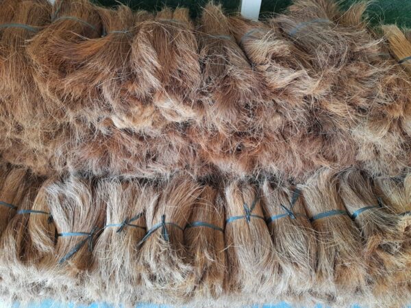 Coco Fiber